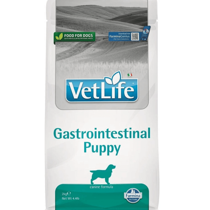 Ravitoit kutsikatele Vet Life Gastrointestinal puppy 2kg