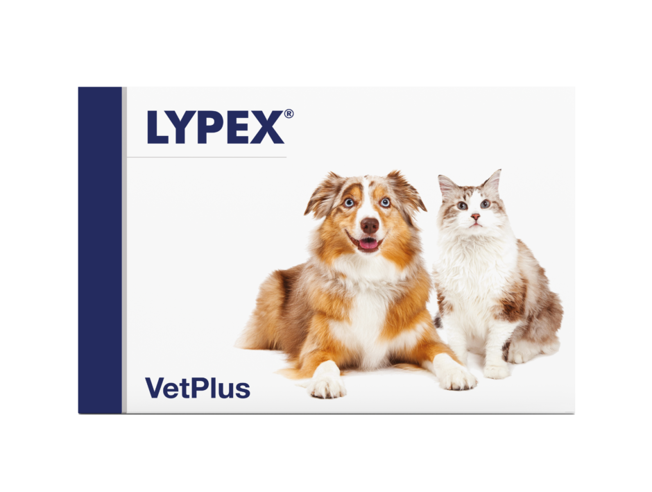 VetPlus Lypex 60 avatavat kapslit