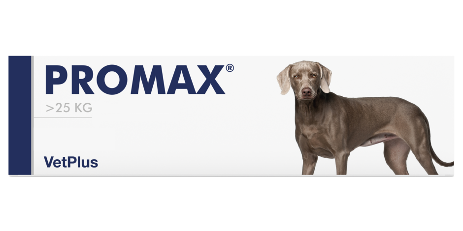 VetPlus Promax üle 25kg