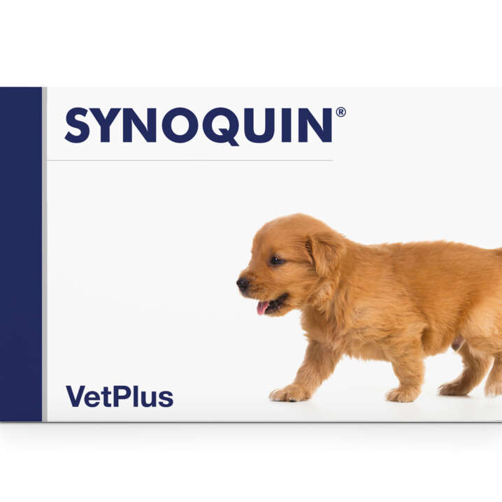 VetPlus Synoquin growth tabletid kutsikatele 60tk