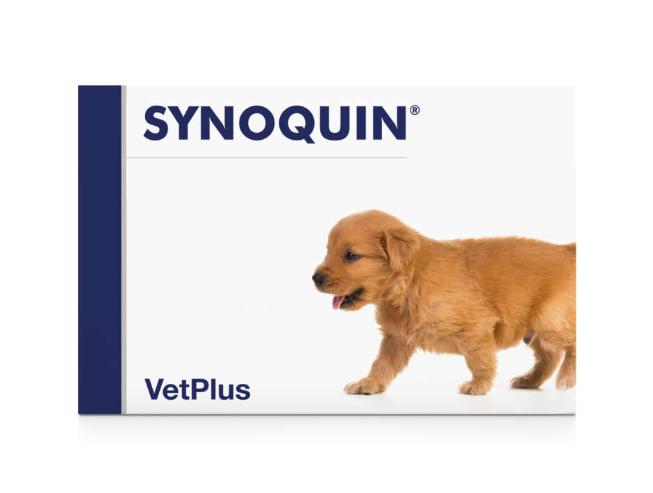VetPlus Synoquin growth tabletid kutsikatele 60tk