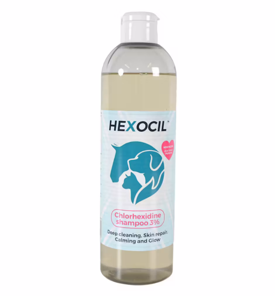 Hexocil šampoon 500ml