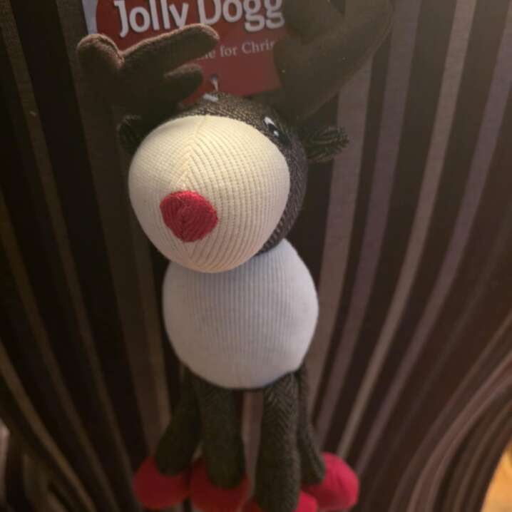 rosewood põhjapõder Rachel