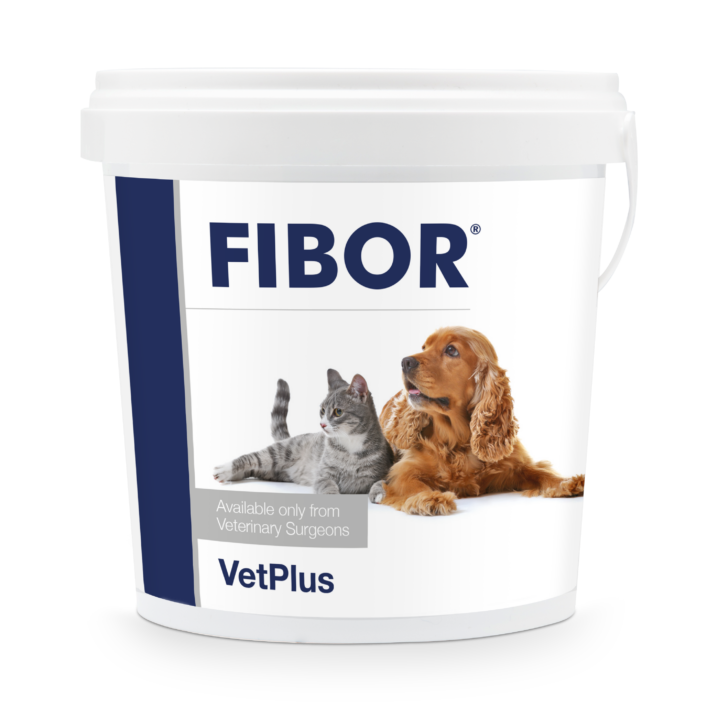 VetPlus Fibor- seedimist soodustav täiendsööt koertele ja kassidele. 